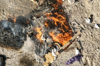 PHOTO-2026-02-16-10-27-35 2.jpg